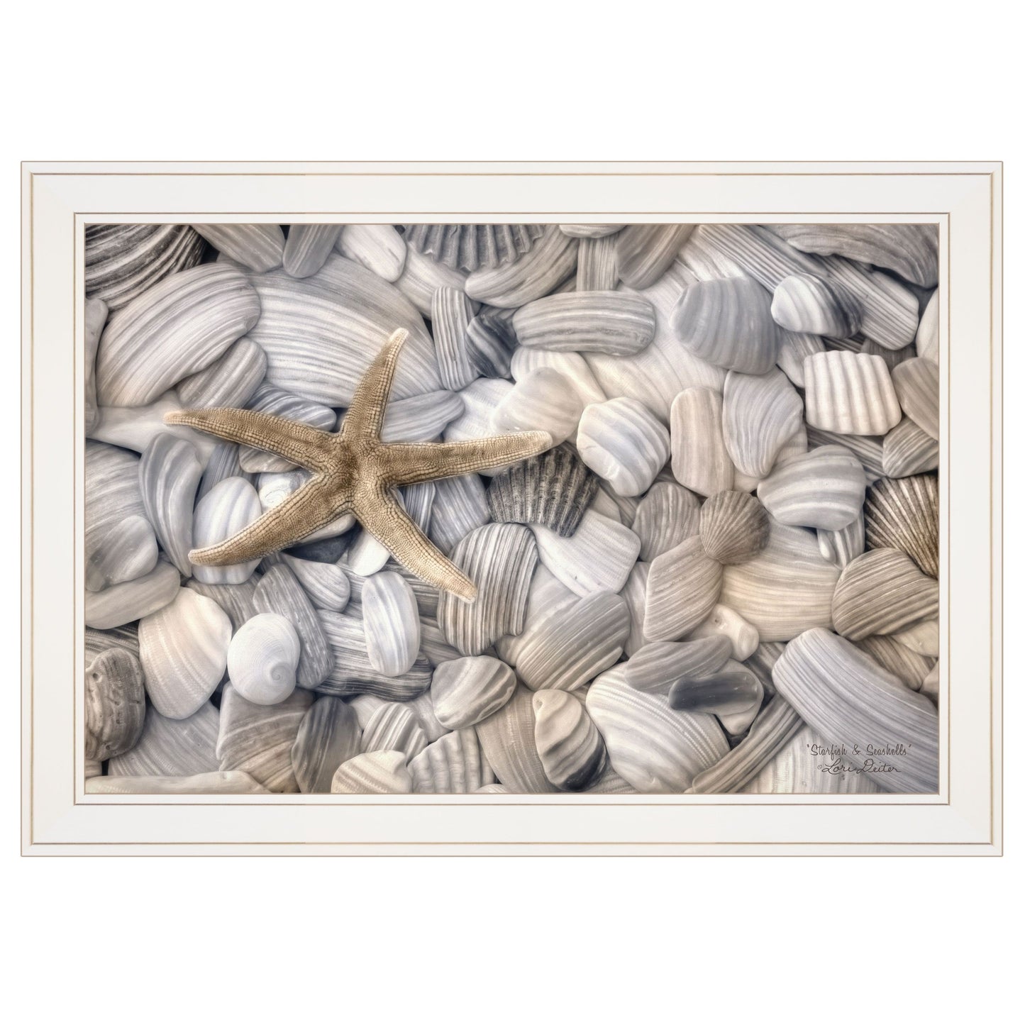 Trendy Decor 4U "Starfish & Seashells" Framed Wall Art, Modern Home Decor Framed Print for Living Room, Bedroom & Farmhouse Wall Decoration by Lori Deiter